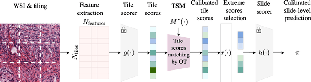Figure 3 for Robust sensitivity control in digital pathology via tile score distribution matching