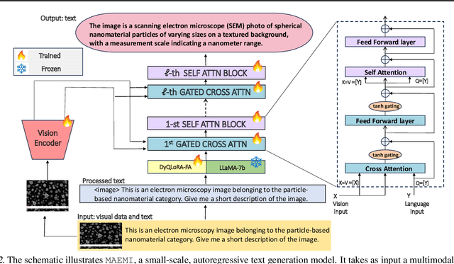Figure 3 for Foundational Model for Electron Micrograph Analysis: Instruction-Tuning Small-Scale Language-and-Vision Assistant for Enterprise Adoption