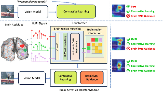 Figure 1 for Brainformer: Modeling MRI Brain Functions to Machine Vision