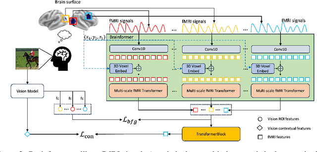 Figure 3 for Brainformer: Modeling MRI Brain Functions to Machine Vision