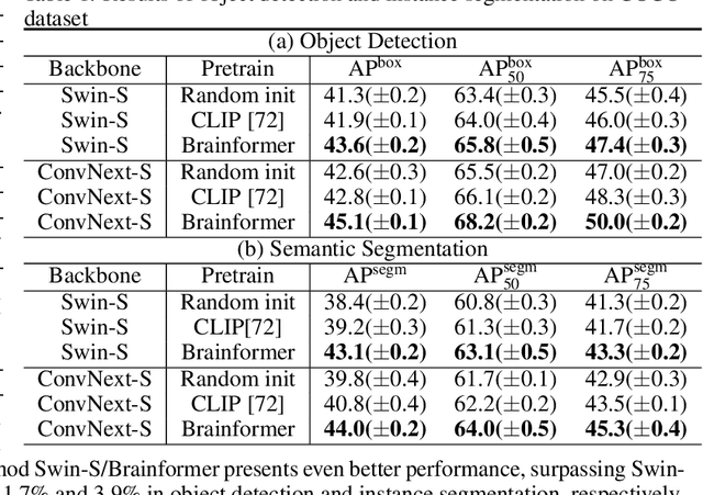 Figure 2 for Brainformer: Modeling MRI Brain Functions to Machine Vision