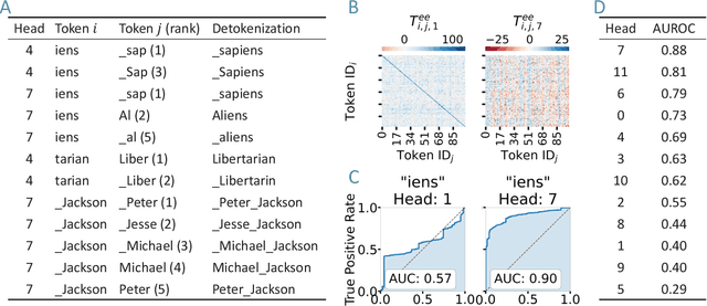 Figure 3 for Weight-based Analysis of Detokenization in Language Models: Understanding the First Stage of Inference Without Inference