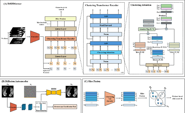 Figure 1 for Diff3Dformer: Leveraging Slice Sequence Diffusion for Enhanced 3D CT Classification with Transformer Networks