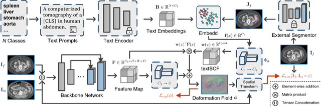 Figure 1 for Spatially Covariant Image Registration with Text Prompts