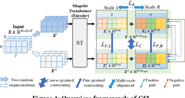 Figure 1 for Contrastive Shapelet Learning for Unsupervised Multivariate Time Series Representation Learning