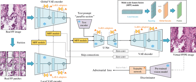 Figure 1 for Leveraging Pre-trained Models for FF-to-FFPE Histopathological Image Translation