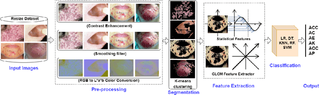 Figure 1 for In-Depth Analysis of Automated Acne Disease Recognition and Classification