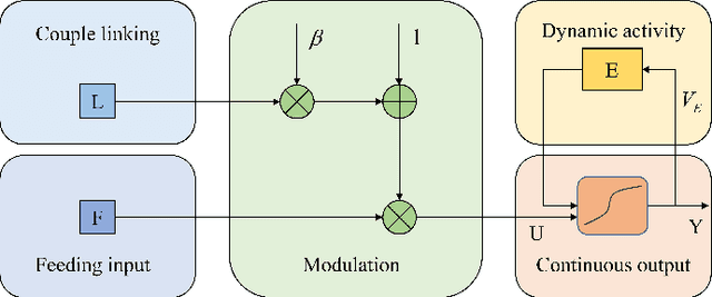 Figure 4 for Chaos in Motion: Unveiling Robustness in Remote Heart Rate Measurement through Brain-Inspired Skin Tracking