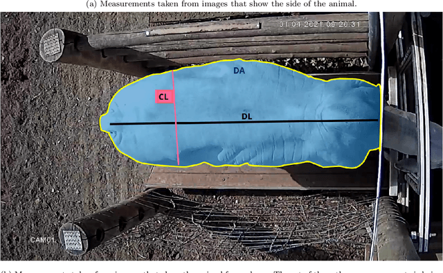 Figure 3 for Exploring Cluster Analysis in Nelore Cattle Visual Score Attribution