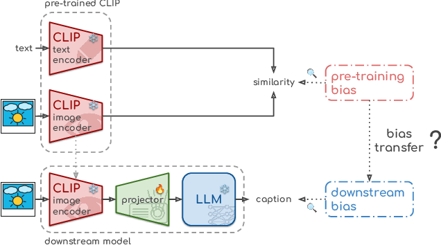 Figure 1 for From Global to Local: Social Bias Transfer in CLIP