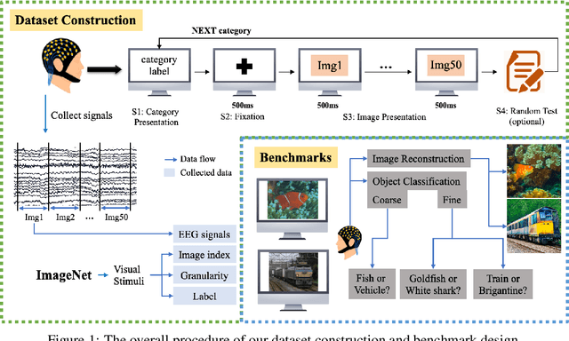 Figure 1 for EEG-ImageNet: An Electroencephalogram Dataset and Benchmarks with Image Visual Stimuli of Multi-Granularity Labels