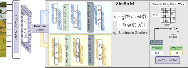 Figure 3 for SimSAM: Simple Siamese Representations Based Semantic Affinity Matrix for Unsupervised Image Segmentation