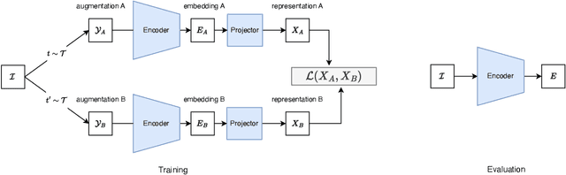 Figure 1 for Beyond Pairwise Correlations: Higher-Order Redundancies in Self-Supervised Representation Learning