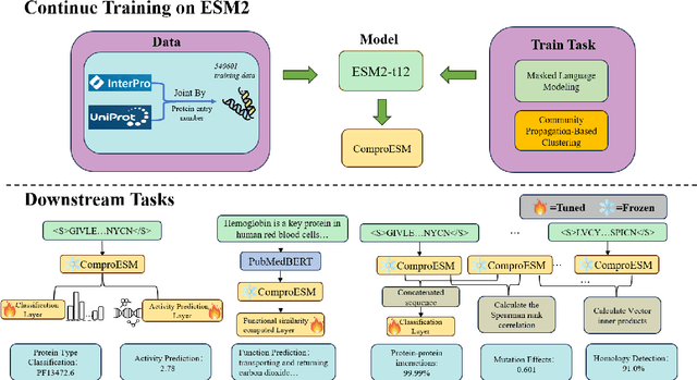 Figure 1 for Beyond ESM2: Graph-Enhanced Protein Sequence Modeling with Efficient Clustering