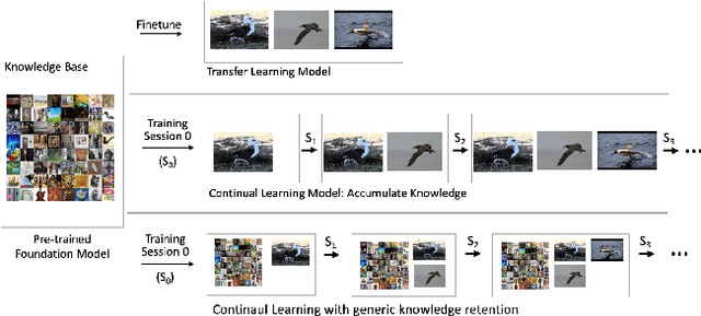 Figure 1 for Overcoming General Knowledge Loss with Selective Parameter Finetuning