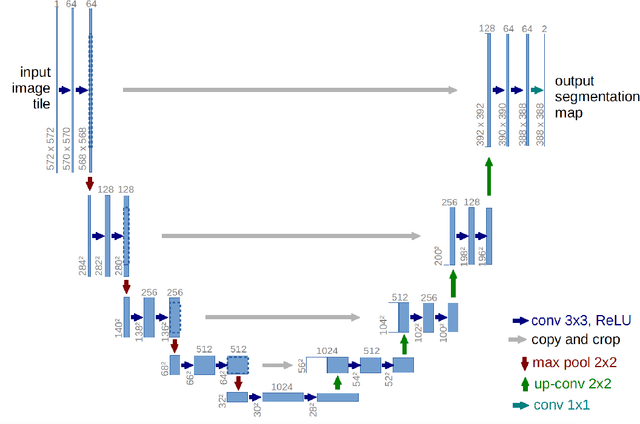 Figure 4 for Medical Image Segmentation with Belief Function Theory and Deep Learning
