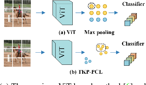 Figure 1 for Top-K Pooling with Patch Contrastive Learning for Weakly-Supervised Semantic Segmentation