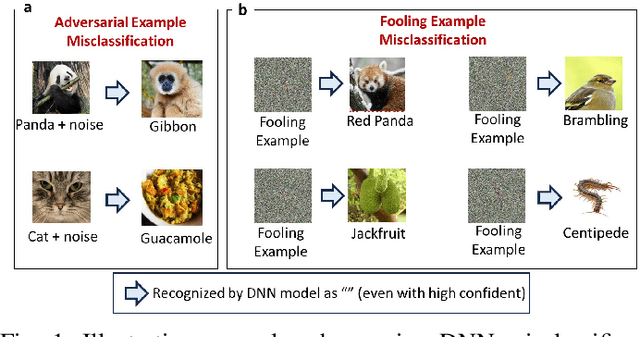 Figure 1 for Wormhole Dynamics in Deep Neural Networks