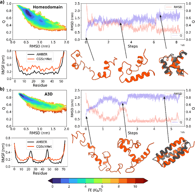 Figure 3 for Navigating protein landscapes with a machine-learned transferable coarse-grained model