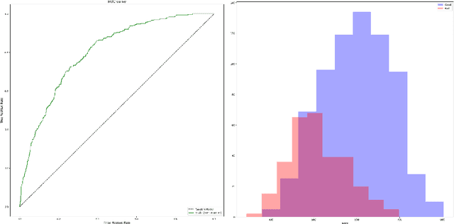 Figure 3 for Evaluating AI fairness in credit scoring with the BRIO tool