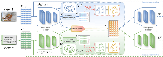 Figure 3 for Balanced Multi-view Clustering