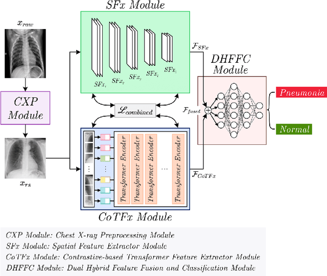 Figure 3 for An Explainable Contrastive-based Dilated Convolutional Network with Transformer for Pediatric Pneumonia Detection