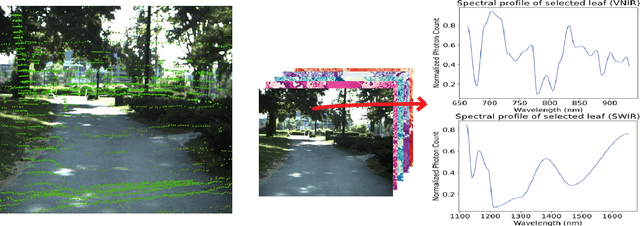 Figure 2 for Forest Biomass Mapping with Terrestrial Hyperspectral Imaging for Wildfire Risk Monitoring