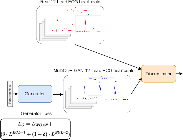 Figure 1 for Ordinary Differential Equations for Enhanced 12-Lead ECG Generation