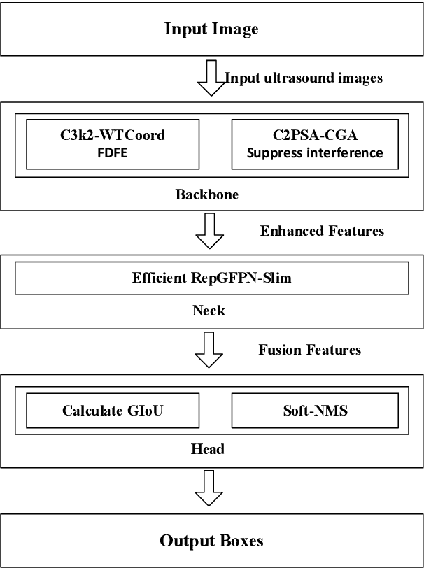 Figure 1 for An Automatic Detection Method for Hematoma Features in Placental Abruption Ultrasound Images Based on Few-Shot Learning