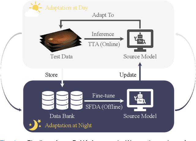 Figure 1 for Day-Night Adaptation: An Innovative Source-free Adaptation Framework for Medical Image Segmentation