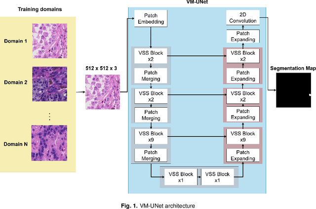 Figure 1 for Mitosis detection in domain shift scenarios: a Mamba-based approach