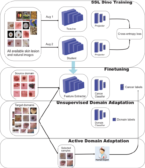 Figure 1 for Enhancing the Generalization Capability of Skin Lesion Classification Models with Active Domain Adaptation Methods