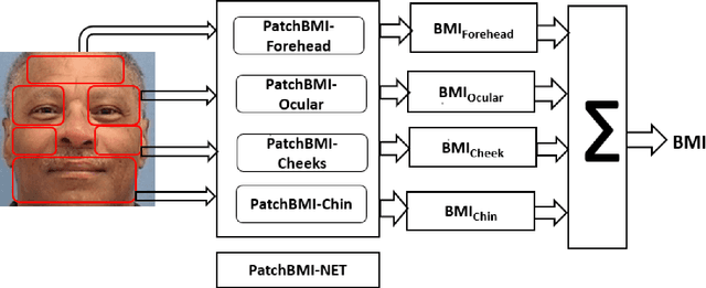 Figure 1 for PatchBMI-Net: Lightweight Facial Patch-based Ensemble for BMI Prediction