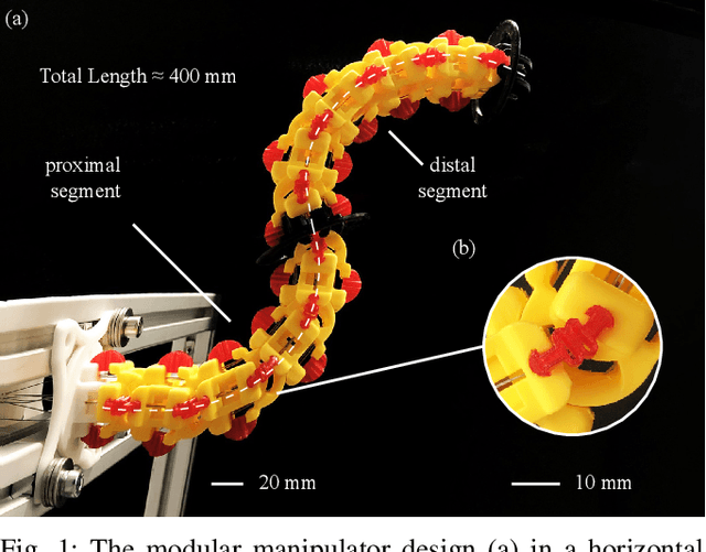 Figure 1 for A Modular, Tendon Driven Variable Stiffness Manipulator with Internal Routing for Improved Stability and Increased Payload Capacity