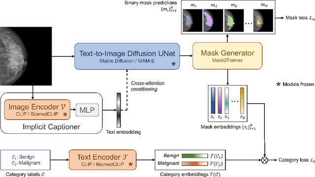 Figure 1 for Panoptic Segmentation of Mammograms with Text-To-Image Diffusion Model