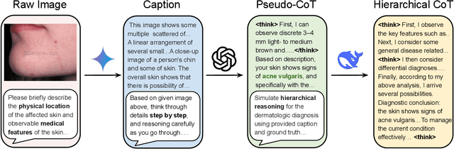 Figure 3 for SkinGPT-R1: Adapter-Only Dual Distillation for Efficient Dermatology Reasoning