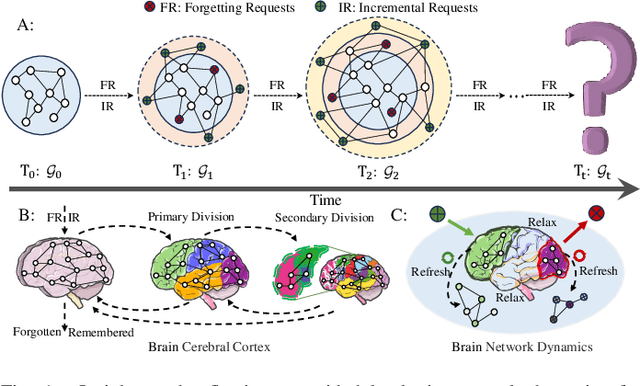 Figure 1 for Graph Memory Learning: Imitating Lifelong Remembering and Forgetting of Brain Networks