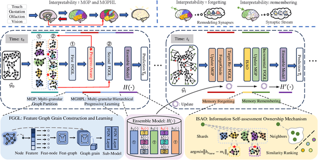 Figure 2 for Graph Memory Learning: Imitating Lifelong Remembering and Forgetting of Brain Networks