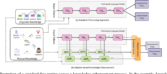 Figure 1 for Adapter-based Approaches to Knowledge-enhanced Language Models -- A Survey