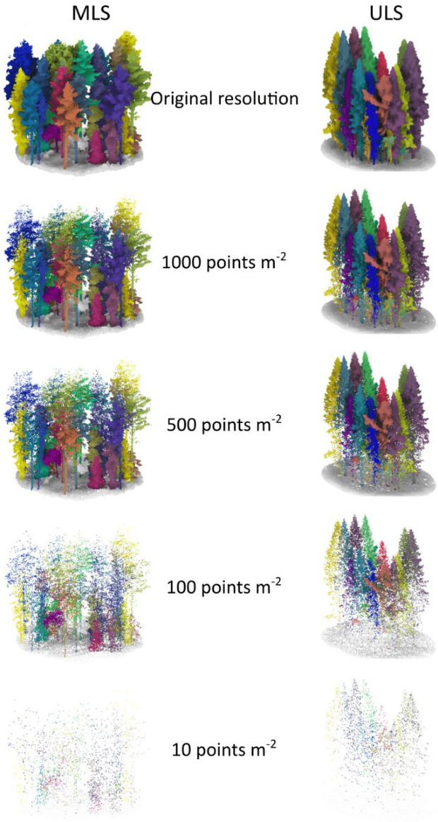 Figure 1 for SegmentAnyTree: A sensor and platform agnostic deep learning model for tree segmentation using laser scanning data