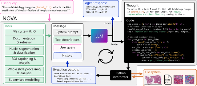 Figure 1 for NOVA: An Agentic Framework for Automated Histopathology Analysis and Discovery