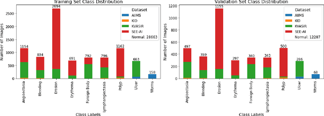 Figure 1 for Capsule Vision 2024 Challenge: Multi-Class Abnormality Classification for Video Capsule Endoscopy