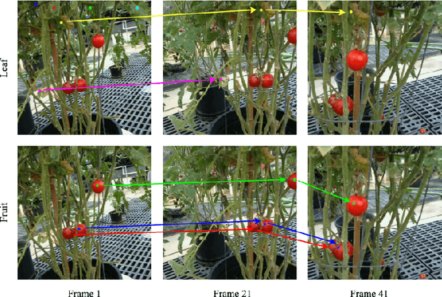 Figure 1 for PlantTrack: Task-Driven Plant Keypoint Tracking with Zero-Shot Sim2Real Transfer