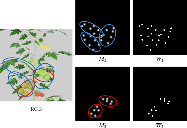 Figure 3 for PlantTrack: Task-Driven Plant Keypoint Tracking with Zero-Shot Sim2Real Transfer