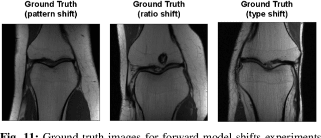 Figure 3 for Domain Expansion via Network Adaptation for Solving Inverse Problems