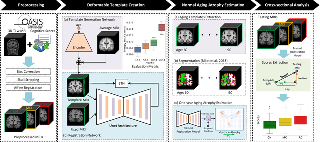 Figure 1 for A deformation-based morphometry framework for disentangling Alzheimer's disease from normal aging using learned normal aging templates