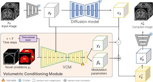 Figure 4 for Volumetric Conditioning Module to Control Pretrained Diffusion Models for 3D Medical Images