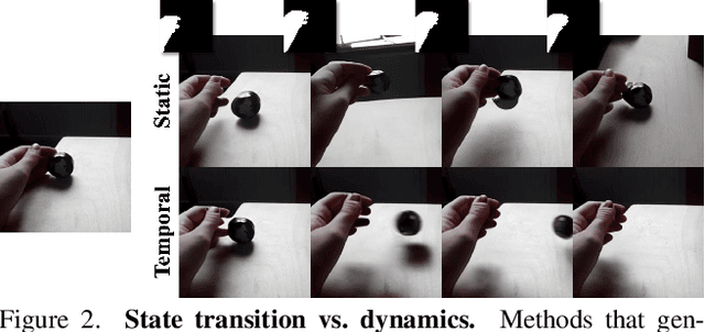 Figure 2 for InterDyn: Controllable Interactive Dynamics with Video Diffusion Models