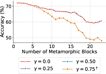 Figure 3 for How to Train Your Metamorphic Deep Neural Network