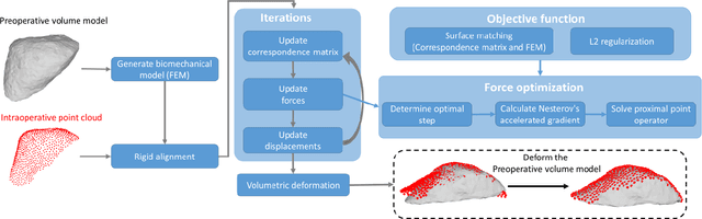 Figure 1 for Boundary Constraint-free Biomechanical Model-Based Surface Matching for Intraoperative Liver Deformation Correction